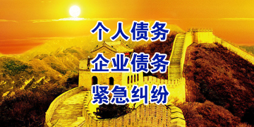 沙湖原种场追债公司
